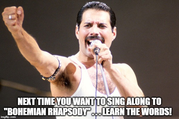 Freddie Mercury fist | NEXT TIME YOU WANT TO SING ALONG TO "BOHEMIAN RHAPSODY" . . . LEARN THE WORDS! | image tagged in freddie mercury fist | made w/ Imgflip meme maker