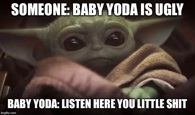Baby Yoda | SOMEONE: BABY YODA IS UGLY; BABY YODA: LISTEN HERE YOU LITTLE SHIT | image tagged in baby yoda | made w/ Imgflip meme maker