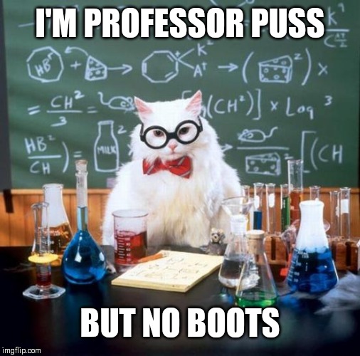 Chemistry Cat | I'M PROFESSOR PUSS; BUT NO BOOTS | image tagged in memes,chemistry cat | made w/ Imgflip meme maker