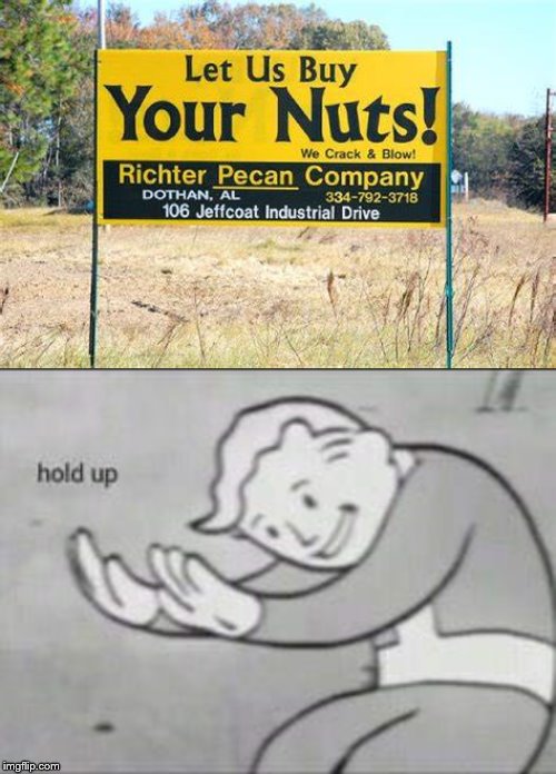 How about not | image tagged in fallout hold up,funny signs,nuts | made w/ Imgflip meme maker