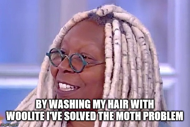 BY WASHING MY HAIR WITH WOOLITE I'VE SOLVED THE MOTH PROBLEM | image tagged in funny | made w/ Imgflip meme maker