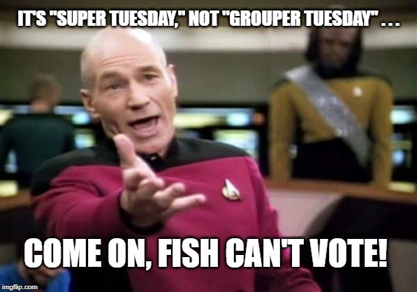 Picard Wtf | IT'S "SUPER TUESDAY," NOT "GROUPER TUESDAY" . . . COME ON, FISH CAN'T VOTE! | image tagged in memes,jean luc picard,super tuesday,grouper tuesday | made w/ Imgflip meme maker