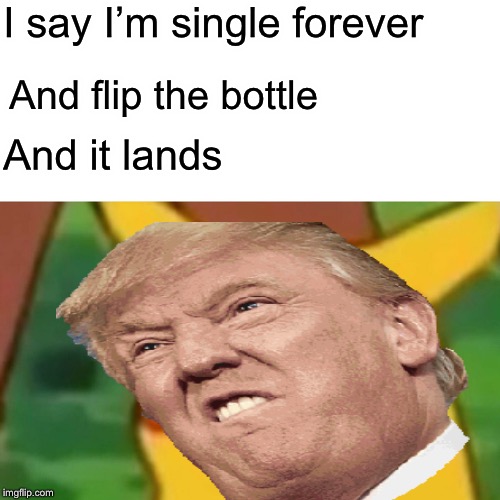 Surprised trump | I say I’m single forever; And flip the bottle; And it lands | image tagged in donald trump | made w/ Imgflip meme maker