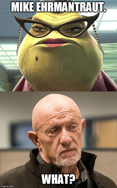 MIKE EHRMANTRAUT. WHAT? | made w/ Imgflip meme maker