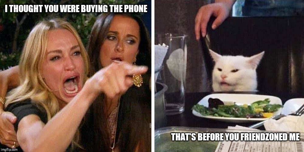 Smudge the cat | I THOUGHT YOU WERE BUYING THE PHONE; THAT'S BEFORE YOU FRIENDZONED ME | image tagged in smudge the cat | made w/ Imgflip meme maker