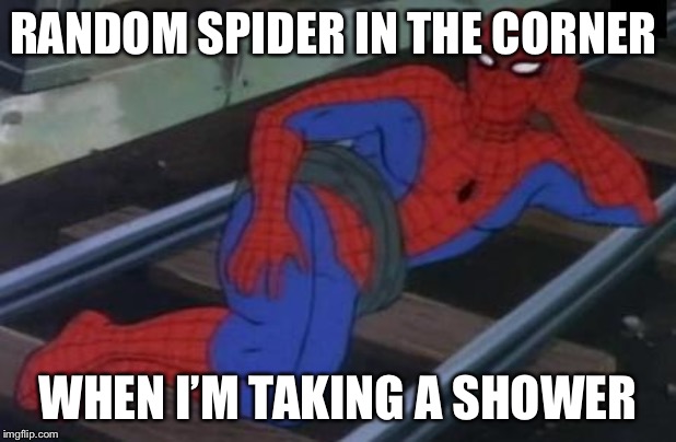 Sexy Railroad Spiderman Meme | RANDOM SPIDER IN THE CORNER; WHEN I’M TAKING A SHOWER | image tagged in memes,sexy railroad spiderman,spiderman | made w/ Imgflip meme maker