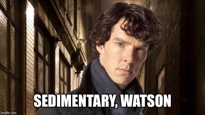 Sherlock holmes | SEDIMENTARY, WATSON | image tagged in sherlock holmes | made w/ Imgflip meme maker