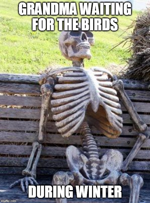 Waiting Skeleton | GRANDMA WAITING FOR THE BIRDS; DURING WINTER | image tagged in memes,waiting skeleton | made w/ Imgflip meme maker