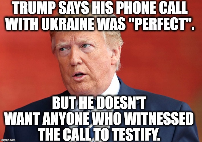 Common Sense Proves You're An Idiot | TRUMP SAYS HIS PHONE CALL WITH UKRAINE WAS "PERFECT". BUT HE DOESN'T WANT ANYONE WHO WITNESSED THE CALL TO TESTIFY. | image tagged in donald trump,impeach trump,moron,witnesses,ukraine,traitor | made w/ Imgflip meme maker