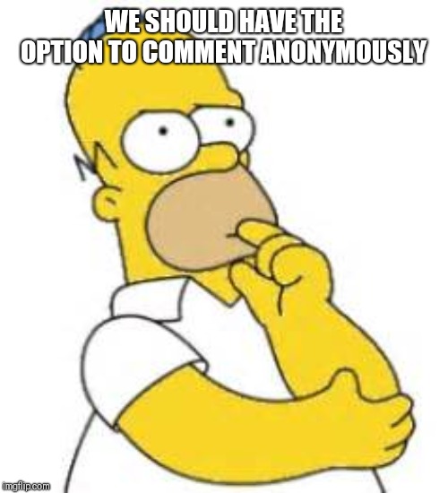 Homer Simpson Hmmmm | WE SHOULD HAVE THE OPTION TO COMMENT ANONYMOUSLY | image tagged in homer simpson hmmmm | made w/ Imgflip meme maker