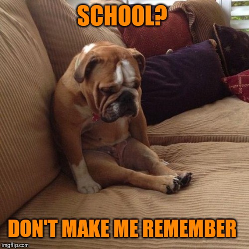 sad dog | SCHOOL? DON'T MAKE ME REMEMBER | image tagged in sad dog | made w/ Imgflip meme maker