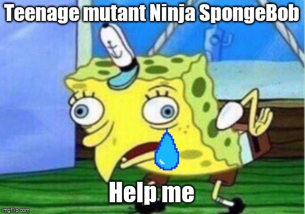 Mocking Spongebob | Teenage mutant Ninja SpongeBob; Help me | image tagged in memes,mocking spongebob | made w/ Imgflip meme maker