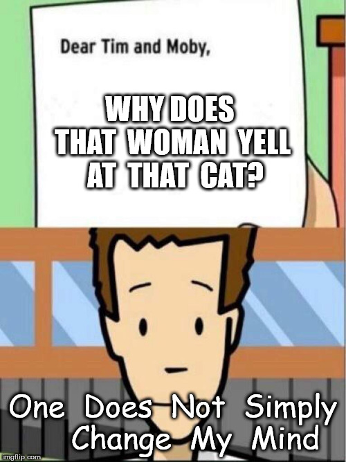 Dear Tim and Moby | WHY DOES  THAT  WOMAN  YELL  AT  THAT  CAT? One  Does  Not  Simply      Change  My  Mind | image tagged in dear tim and moby | made w/ Imgflip meme maker