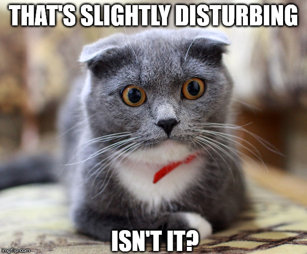 THAT'S SLIGHTLY DISTURBING; ISN'T IT? | image tagged in cat,disturbing | made w/ Imgflip meme maker