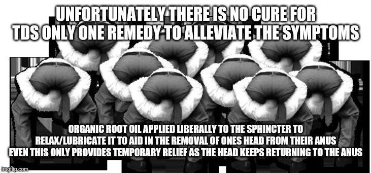 head up ass |  UNFORTUNATELY THERE IS NO CURE FOR TDS ONLY ONE REMEDY TO ALLEVIATE THE SYMPTOMS; ORGANIC ROOT OIL APPLIED LIBERALLY TO THE SPHINCTER TO RELAX/LUBRICATE IT TO AID IN THE REMOVAL OF ONES HEAD FROM THEIR ANUS EVEN THIS ONLY PROVIDES TEMPORARY RELIEF AS THE HEAD KEEPS RETURNING TO THE ANUS | image tagged in head up ass | made w/ Imgflip meme maker