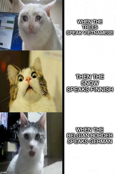 Oh Snap | WHEN THE TREES SPEAK VIETNAMESE; THEN THE SNOW SPEAKS FINNISH; WHEN THE BELGIAN BORDER SPEAKS GERMAN | image tagged in cats,vietnam,finland,germany | made w/ Imgflip meme maker