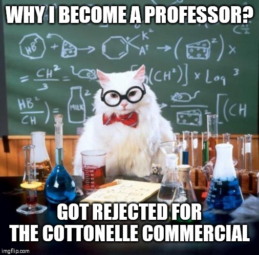 Chemistry Cat Meme | WHY I BECOME A PROFESSOR? GOT REJECTED FOR THE COTTONELLE COMMERCIAL | image tagged in memes,chemistry cat | made w/ Imgflip meme maker