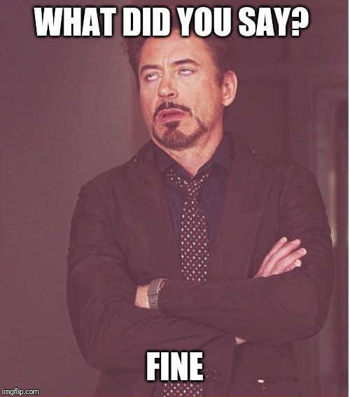 Face You Make Robert Downey Jr |  WHAT DID YOU SAY? FINE | image tagged in memes,face you make robert downey jr | made w/ Imgflip meme maker