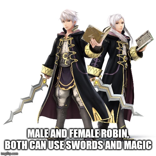 MALE AND FEMALE ROBIN, BOTH CAN USE SWORDS AND MAGIC | made w/ Imgflip meme maker