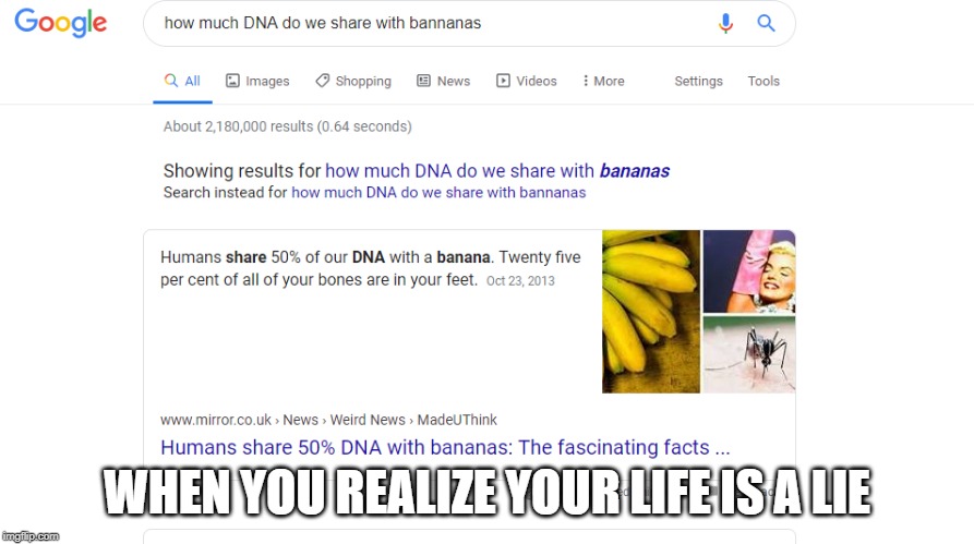 How much DNA do we share with banana | WHEN YOU REALIZE YOUR LIFE IS A LIE | image tagged in bananas | made w/ Imgflip meme maker