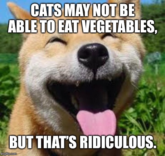 Happy Doge | CATS MAY NOT BE ABLE TO EAT VEGETABLES, BUT THAT’S RIDICULOUS. | image tagged in happy doge | made w/ Imgflip meme maker