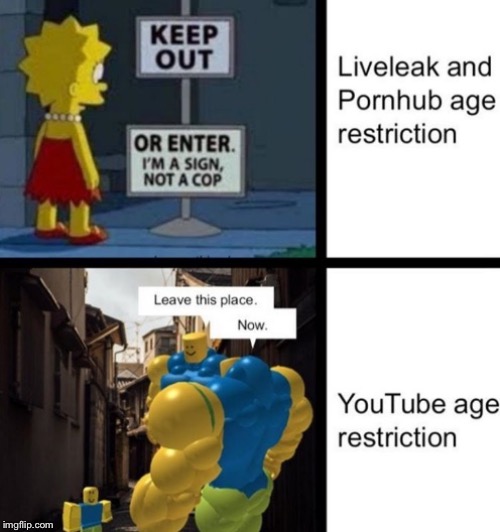 Age restriction problems | image tagged in memes,funny,youtube | made w/ Imgflip meme maker
