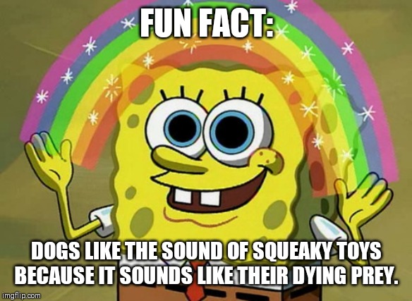 Imagination Spongebob | FUN FACT:; DOGS LIKE THE SOUND OF SQUEAKY TOYS BECAUSE IT SOUNDS LIKE THEIR DYING PREY. | image tagged in memes,imagination spongebob | made w/ Imgflip meme maker