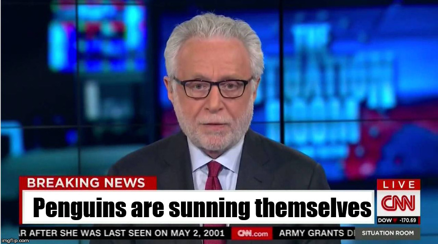 CNN "Wolf of Fake News" Fanfiction | Penguins are sunning themselves | image tagged in cnn wolf of fake news fanfiction | made w/ Imgflip meme maker