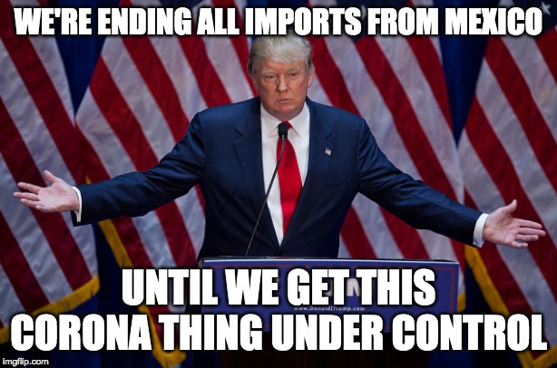 Donald Trump | WE'RE ENDING ALL IMPORTS FROM MEXICO; UNTIL WE GET THIS CORONA THING UNDER CONTROL | image tagged in donald trump | made w/ Imgflip meme maker