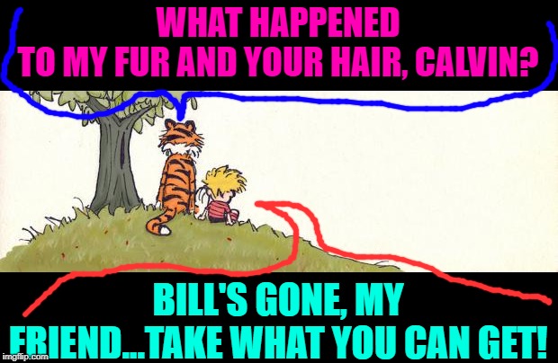 Calvin & Hobbes | WHAT HAPPENED TO MY FUR AND YOUR HAIR, CALVIN? BILL'S GONE, MY FRIEND...TAKE WHAT YOU CAN GET! | image tagged in calvin  hobbes | made w/ Imgflip meme maker