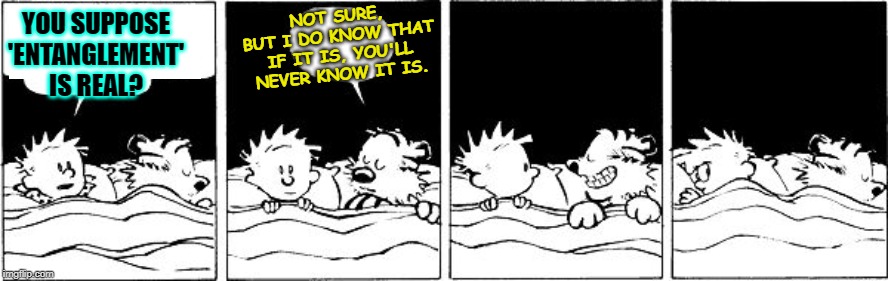 Bubble Burster (Calvin and Hobbes) | NOT SURE, BUT I DO KNOW THAT IF IT IS, YOU'LL NEVER KNOW IT IS. YOU SUPPOSE 'ENTANGLEMENT' IS REAL? | image tagged in bubble burster calvin and hobbes | made w/ Imgflip meme maker