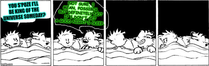 Bubble Burster (Calvin and Hobbes) | NOT SURE, I MEAN, POSSIBLY, BUT DEFINITELY NOT IF I DON'T GET A GOOD NIGHT'S SLEEP. YOU S'POZE I'LL BE KING OF THE UNIVERSE SOMEDAY? | image tagged in bubble burster calvin and hobbes | made w/ Imgflip meme maker