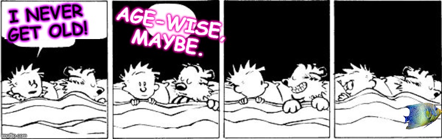 Bubble Burster (Calvin and Hobbes) | AGE-WISE, MAYBE. I NEVER GET OLD! | image tagged in bubble burster calvin and hobbes | made w/ Imgflip meme maker