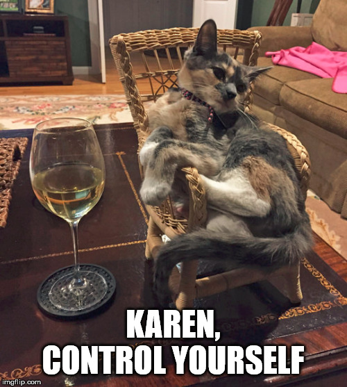 KAREN, CONTROL YOURSELF | image tagged in cats | made w/ Imgflip meme maker