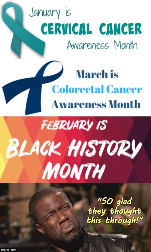 And the Genius Award goes to ... | January is CERVICAL CANCER Awareness Month. March is Colorectal Cancer Awareness Month. FEBRUARY IS BLACK HISTORY MONTH. "SO glad they thought this through!" | image tagged in kevin hart reaction,dark humor,cancer,black history month,rick75230,memes | made w/ Imgflip meme maker