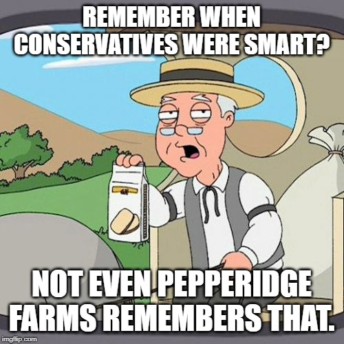 Pepperidge Farm Remembers Meme | REMEMBER WHEN CONSERVATIVES WERE SMART? NOT EVEN PEPPERIDGE FARMS REMEMBERS THAT. | image tagged in memes,pepperidge farm remembers | made w/ Imgflip meme maker