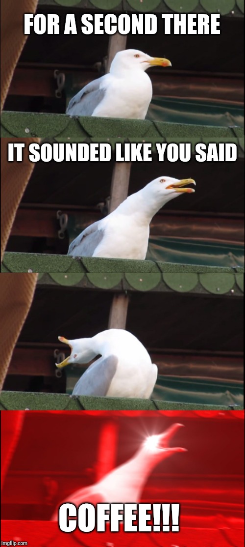 Inhaling Seagull Meme | FOR A SECOND THERE IT SOUNDED LIKE YOU SAID COFFEE!!! | image tagged in memes,inhaling seagull | made w/ Imgflip meme maker