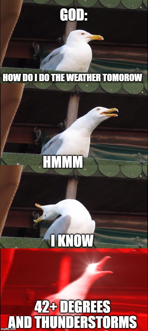 Inhaling Seagull | GOD:; HOW DO I DO THE WEATHER TOMOROW; HMMM; I KNOW; 42+ DEGREES AND THUNDERSTORMS | image tagged in memes,inhaling seagull | made w/ Imgflip meme maker