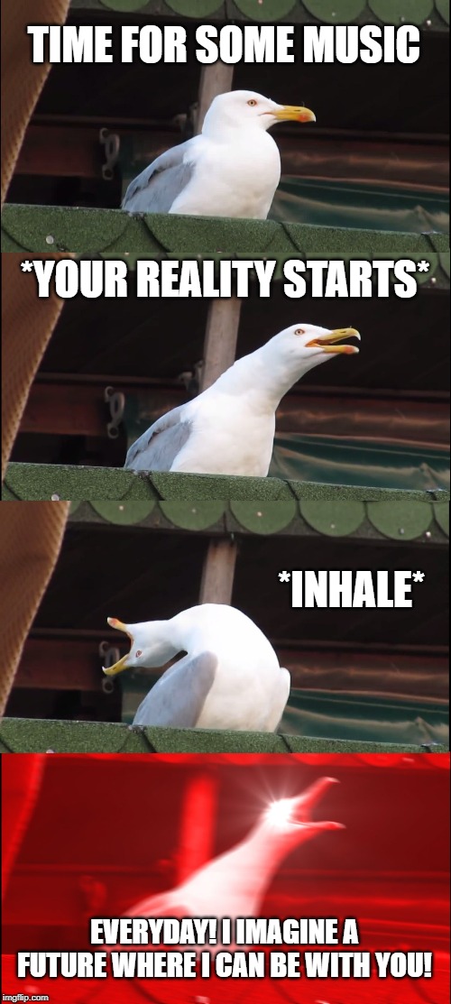Inhaling Seagull | TIME FOR SOME MUSIC; *YOUR REALITY STARTS*; *INHALE*; EVERYDAY! I IMAGINE A FUTURE WHERE I CAN BE WITH YOU! | image tagged in memes,inhaling seagull | made w/ Imgflip meme maker