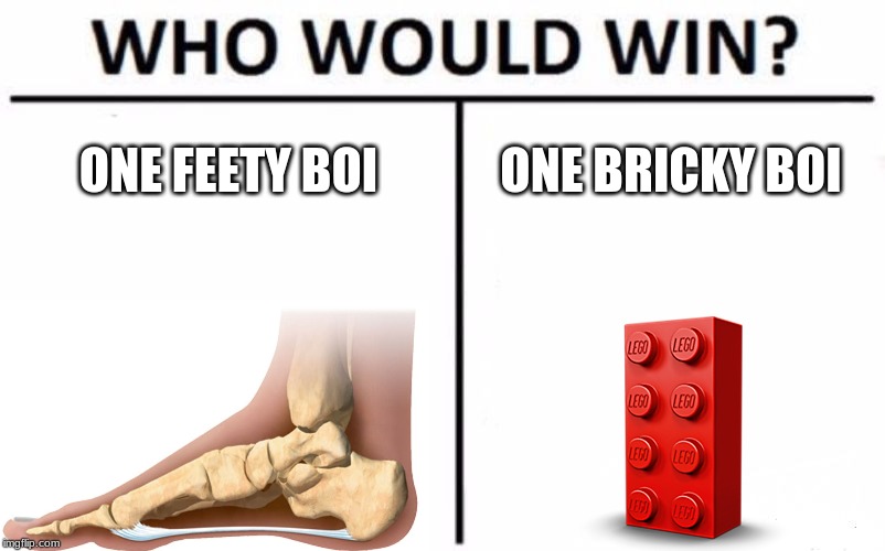 Who Would Win? Meme | ONE FEETY BOI; ONE BRICKY BOI | image tagged in memes,who would win | made w/ Imgflip meme maker