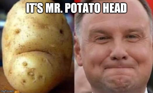 President Duda | IT'S MR. POTATO HEAD | image tagged in poland | made w/ Imgflip meme maker