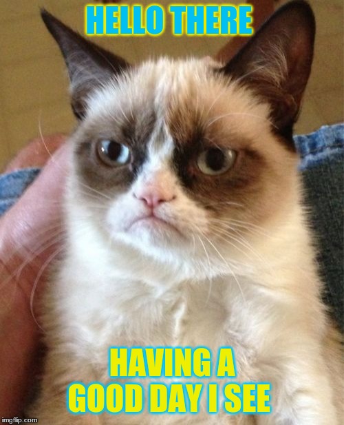 Grumpy Cat Meme | HELLO THERE; HAVING A GOOD DAY I SEE | image tagged in memes,grumpy cat | made w/ Imgflip meme maker