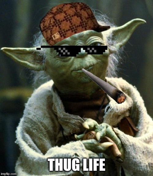Star Wars Yoda Meme | THUG LIFE | image tagged in memes,star wars yoda | made w/ Imgflip meme maker
