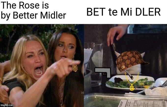 Woman Yelling At Cat | The Rose is by Better Midler; BET te Mi DLER | image tagged in memes,woman yelling at cat | made w/ Imgflip meme maker