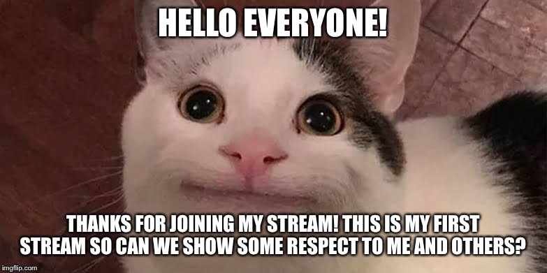  HELLO EVERYONE! THANKS FOR JOINING MY STREAM! THIS IS MY FIRST STREAM SO CAN WE SHOW SOME RESPECT TO ME AND OTHERS? | made w/ Imgflip meme maker
