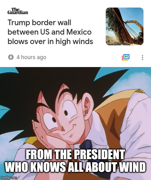 FROM THE PRESIDENT WHO KNOWS ALL ABOUT WIND | image tagged in memes,condescending goku | made w/ Imgflip meme maker