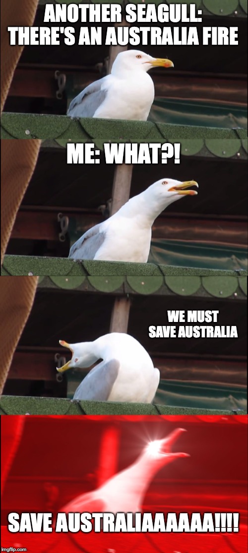 Inhaling Seagull | ANOTHER SEAGULL: THERE'S AN AUSTRALIA FIRE; ME: WHAT?! WE MUST SAVE AUSTRALIA; SAVE AUSTRALIAAAAAA!!!! | image tagged in memes,inhaling seagull | made w/ Imgflip meme maker