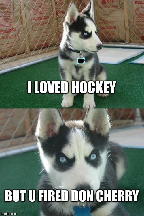 Insanity Puppy | I LOVED HOCKEY; BUT U FIRED DON CHERRY | image tagged in memes,insanity puppy | made w/ Imgflip meme maker