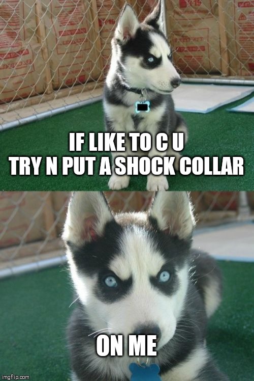 Insanity Puppy Meme | IF LIKE TO C U TRY N PUT A SHOCK COLLAR; ON ME | image tagged in memes,insanity puppy | made w/ Imgflip meme maker