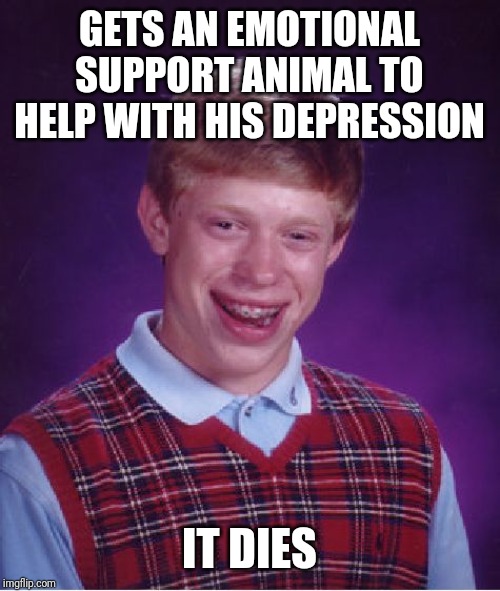 Bad Luck Brian Meme | GETS AN EMOTIONAL SUPPORT ANIMAL TO HELP WITH HIS DEPRESSION; IT DIES | image tagged in memes,bad luck brian | made w/ Imgflip meme maker